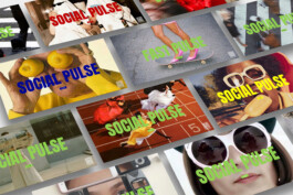 social-pulse-mockup binder.communication